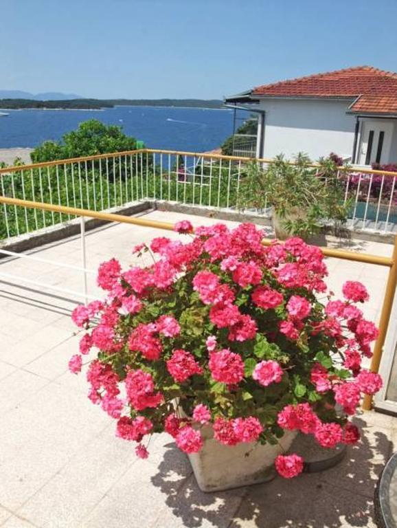 Rooms Vinka Tudor Hvar Town Dış mekan fotoğraf